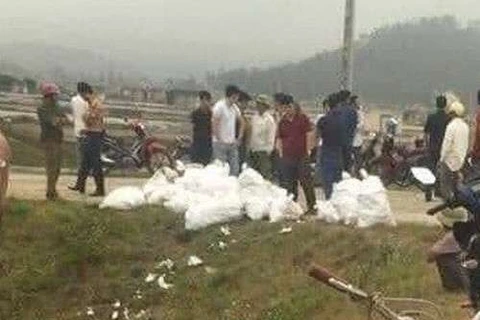 乂安省：抓获贩运毒品犯罪嫌疑人3名缴获700公斤冰毒