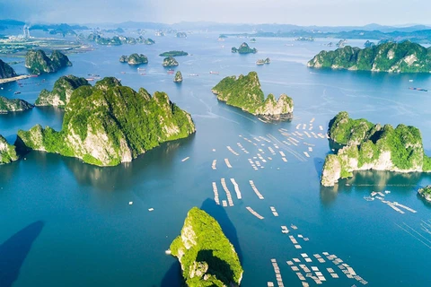 越南广宁省下龙湾跻身世界25大自然奇观行列