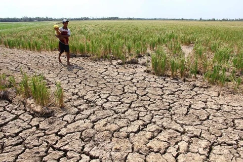 联合国-东盟联合报告：东南亚干旱情况未来可能会更加严重