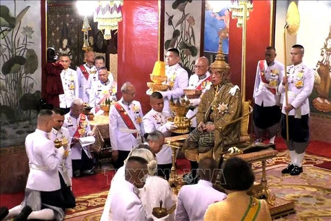 越南领导人致电泰国国王哇集拉隆功祝贺登基加冕