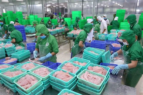 越南查鱼在进军国际市场的路上具有巨大优势