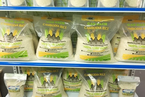 柬埔寨对中国的大米出口额激增