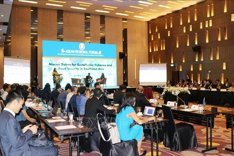 东盟海洋塑料垃圾管理研讨会在庆和省召开