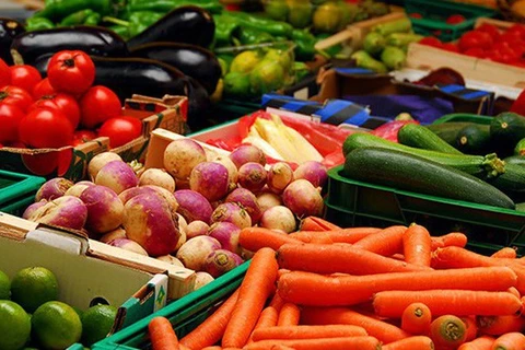 越南蔬果出口呈现恢复增长势头