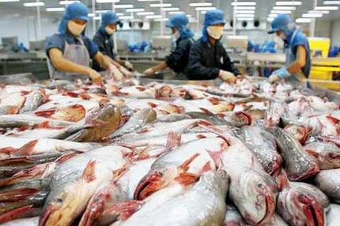 日本成为越南查鱼十大出口市场之一