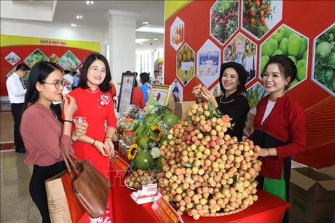 北江省举行荔枝生产和销售有关的经济论坛