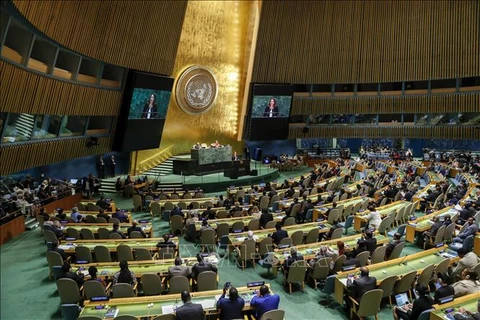 越南以高票当选联合国安理会非常任理事国