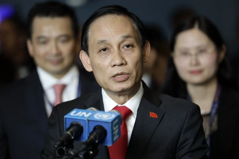  越南外交部副部长黎淮忠：越南革新成就已得到认可