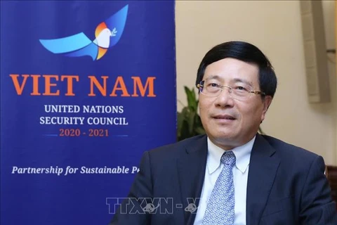 范平明：越南依照国际法优先推动全球性问题