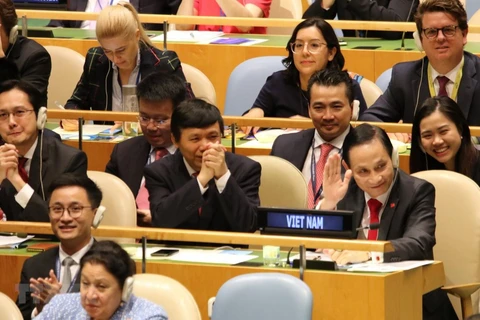 越南与联合国安理会：印度媒体期望越南为改变联合国安理会的动力做出贡献