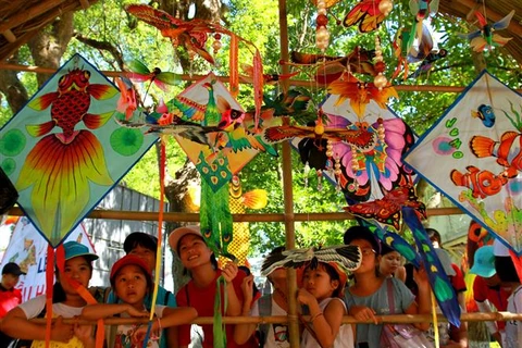 2019年顺化风筝节有助于保护和弘扬顺化传统风筝艺术