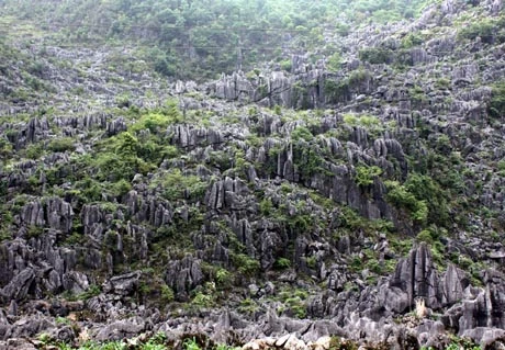 郑廷勇批准制定同文岩石高原全球地质公园总体规划调整方案
