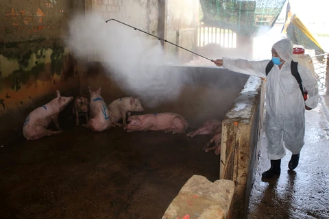 采取有力措施保障规模养猪场和种猪场生产安全