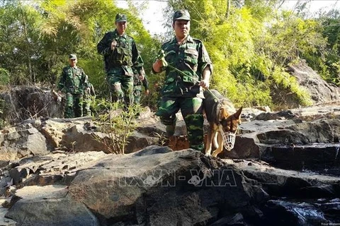越柬加强协调 圆满完成边境安全保护任务