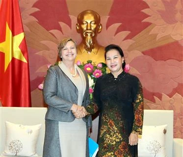 越南国会主席阮氏金银会见联合国儿童基金会驻越首席代表