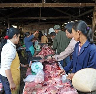 老挝首次发现非洲猪瘟疫情