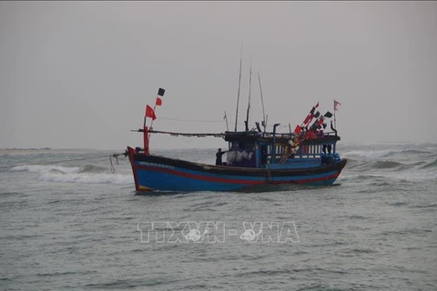 成功营救在黄沙海域遇险的渔民