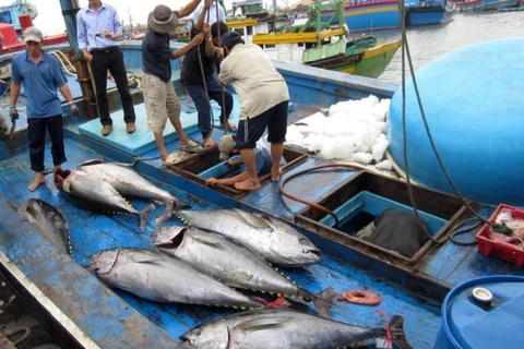 越南努力争取欧盟委员会取消对越南海产的黄牌警告和保障渔业可持续发展
