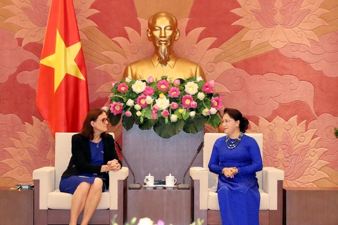 国会主席阮氏金银：为《越南与欧盟自由贸易协定》的生效实施做好准备