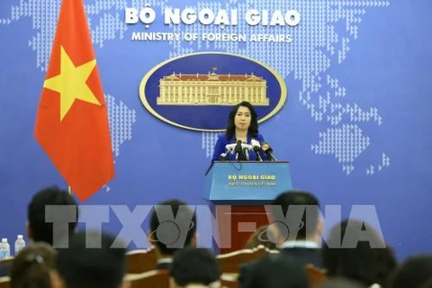 越南外交部发言人：越南要求严格处理韩国丈夫暴打越南妻子一案