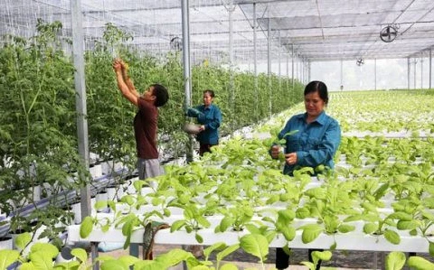 坦桑尼亚希望越南帮助发展农业