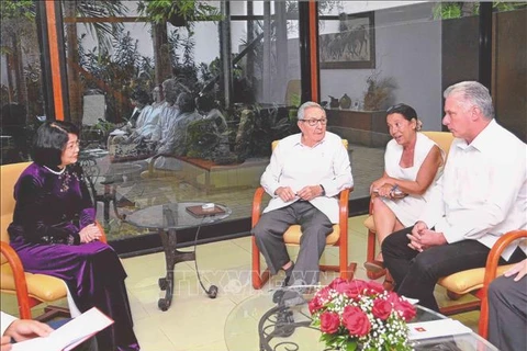 越南国家副主席邓氏玉盛会见古巴领导人