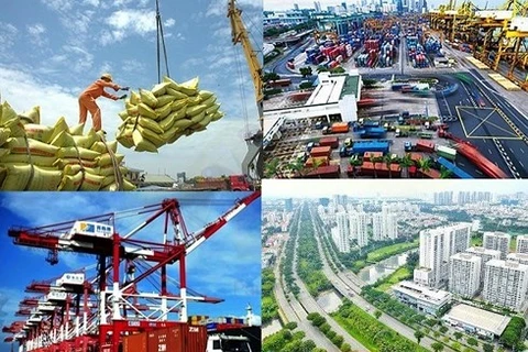 《越南与欧盟自由贸易协定》：为经济发展注入新生力量
