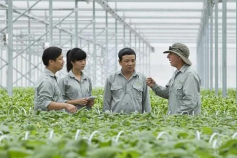  2030年越南有农技培训需求的人数预计达600万