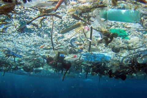 越南制定关于2030年前减少海洋塑料垃圾的国家行动计划