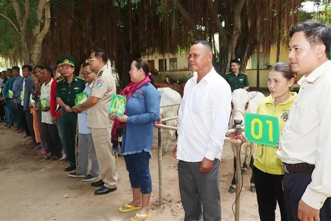 越南边防部队向越柬边境地区贫困户赠送牛苗
