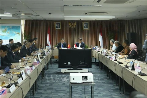 胡志明市促进与印度尼西亚各合作伙伴的全面合作
