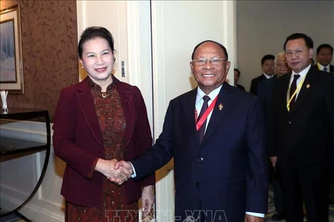 阮氏金银会见柬埔寨国会主席韩桑林