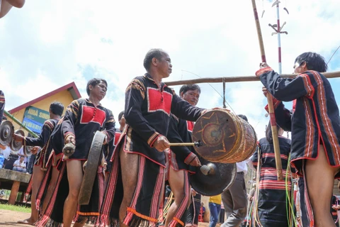 得乐省高原地区嘉莱族举行颇具特色的新米节