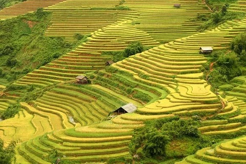 越南景观跻身世界最美丽照片选集