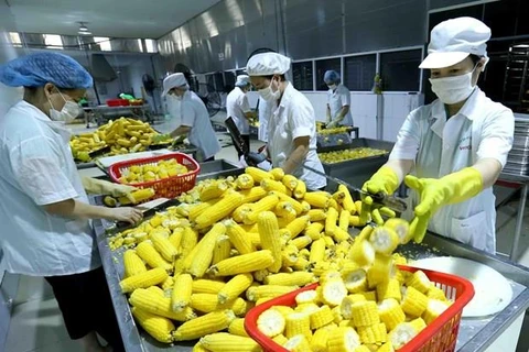 越南加强出口农产品检疫 满足欧盟市场新规定