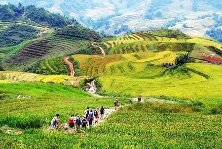 越南体验式旅游潜力巨大