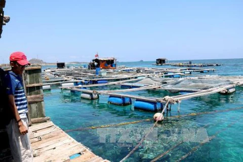 越南积极健全水产资源保护与开发规划