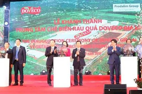 越南西原地区最大蔬菜加工厂正式投入运行
