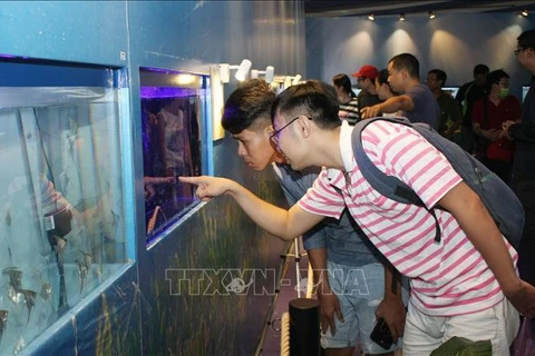 2019年第四届胡志明市观赏鱼展览会正式开幕