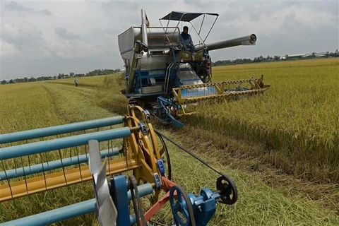 2019年10月起泰国政府开展大米价格保证计划