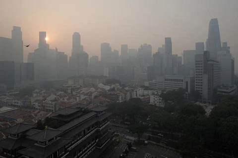 新加坡空气质量降至“不健康”水平