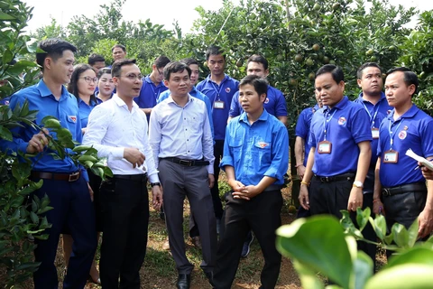 老挝人民革命青年代表团访问越南和平省 