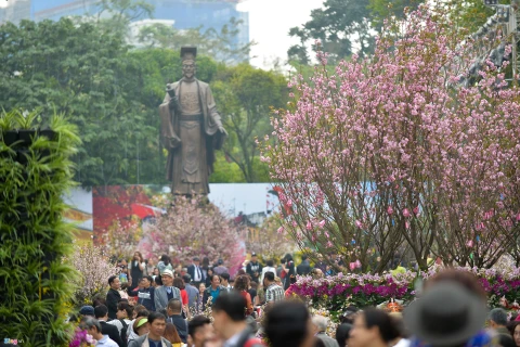 第五届河内日本樱花节将于2020年3月举行