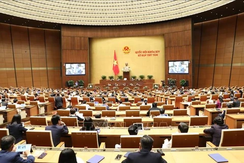 越南第十四届国会第八次会议公报（第十号）