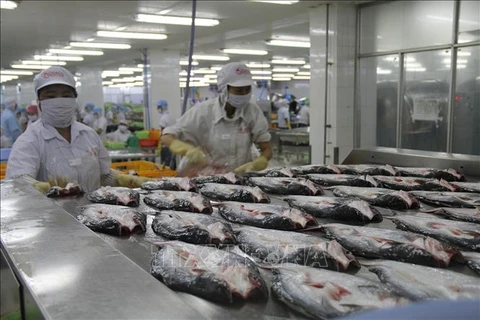 美国承认越南无鳞鱼类产品食品安全检验体系等效性
