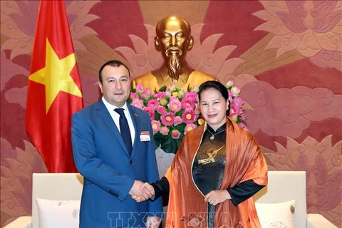 越南国会主席阮氏金银会见亚美尼亚国民议会副议长