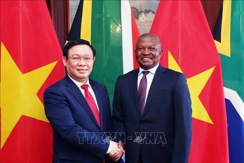 越南政府副总理王廷惠与南非副总统戴维会谈 