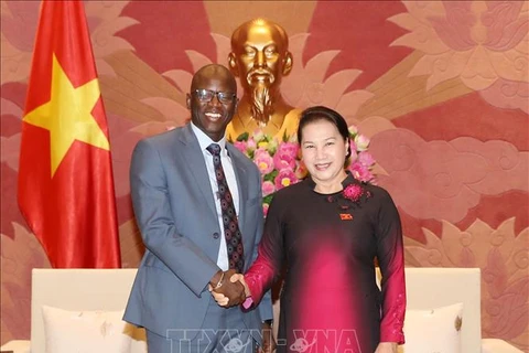  越南国会主席阮氏金银会见世行驻越首席代表奥斯曼•迪奥