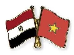 越南强化与埃及的投资合作关系 