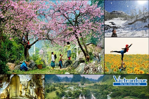 越南春节旅游市场步入旺季 